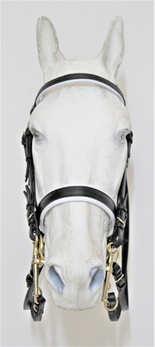 Double English bridle - Front